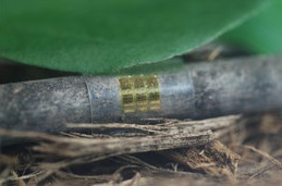 computer chip
