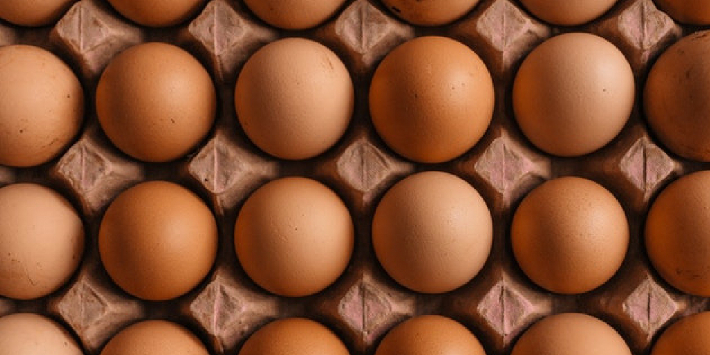 Build Traffic or Optimize for Conversions? A Chicken or Egg Debate