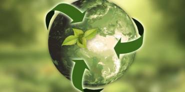 How Small Businesses Can Implement Sustainable Supply Chain Practices
