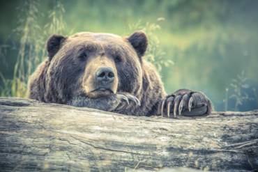 Stop hibernating: You’re missing out on company blog benefits