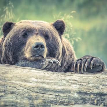 Stop hibernating: You’re missing out on company blog benefits