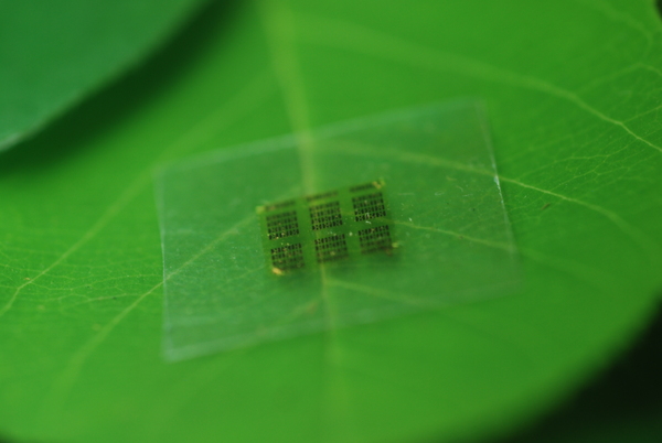 biodegradable computer chip