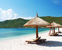 Vacation